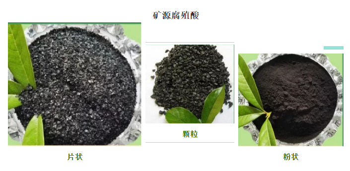 看過來！帶你了解司普沃赫蔓核心成分-礦源腐殖酸