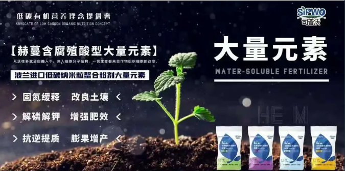 如何選擇葉面肥？葉面肥的施用形式你了解嗎？