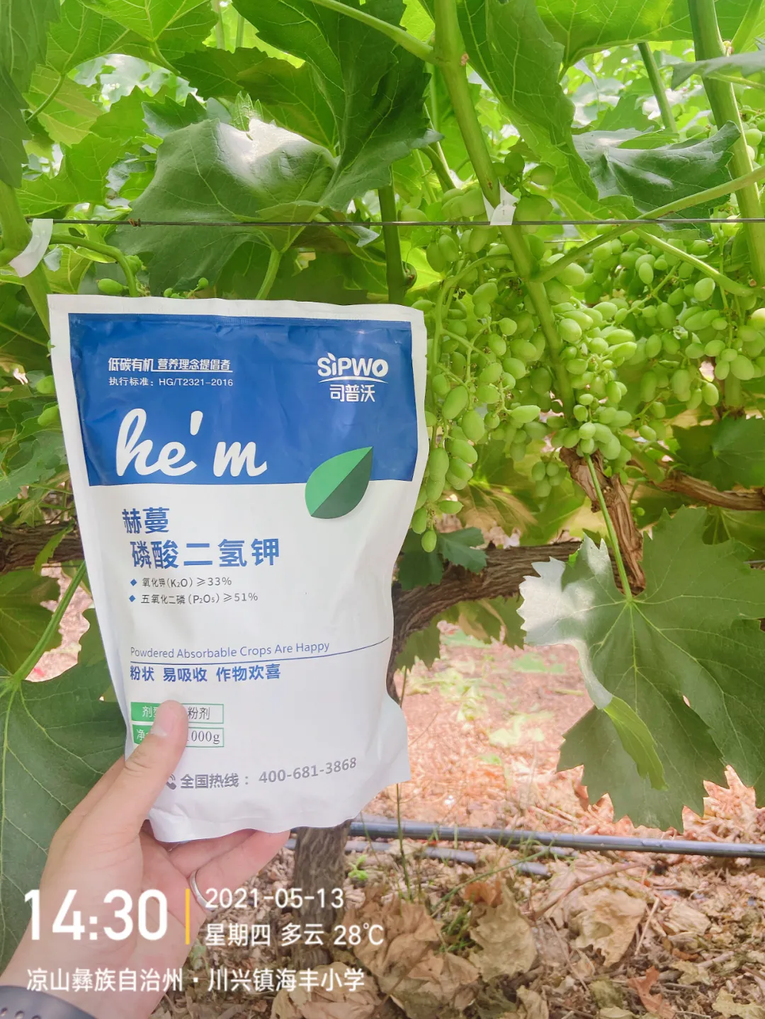 磷酸二氫鉀的辨別真假現(xiàn)場(chǎng)，99%以上是假貨！