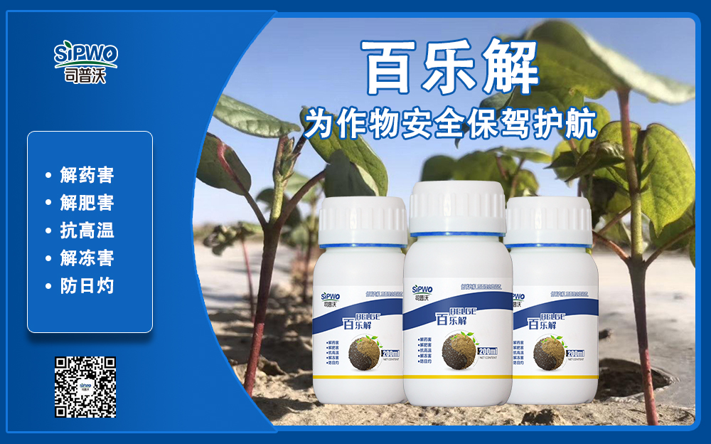 司普沃赫蔓百樂解，解凍害、解肥害、解藥害，棉花上再顯神威！