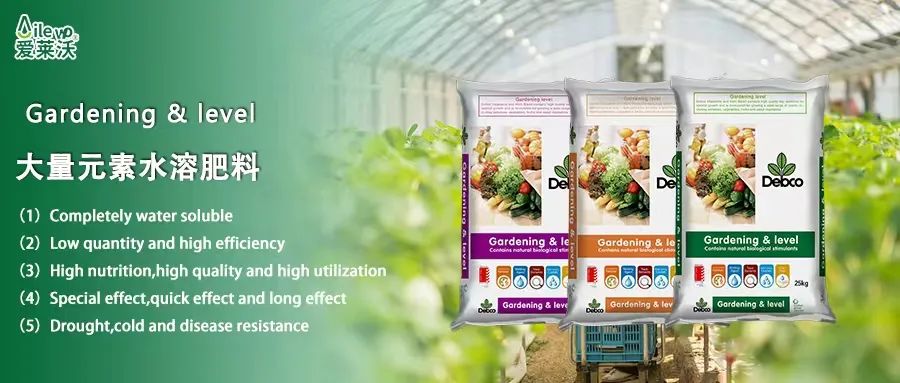 愛萊沃意大利原包進口大量元素水溶肥料|世界品質(zhì)，火爆“炸市”