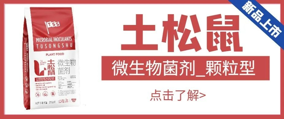 【匠心出品】微生物菌劑-土松鼠|恢復地力、肥沃土壤、爆根壯苗、降低病害