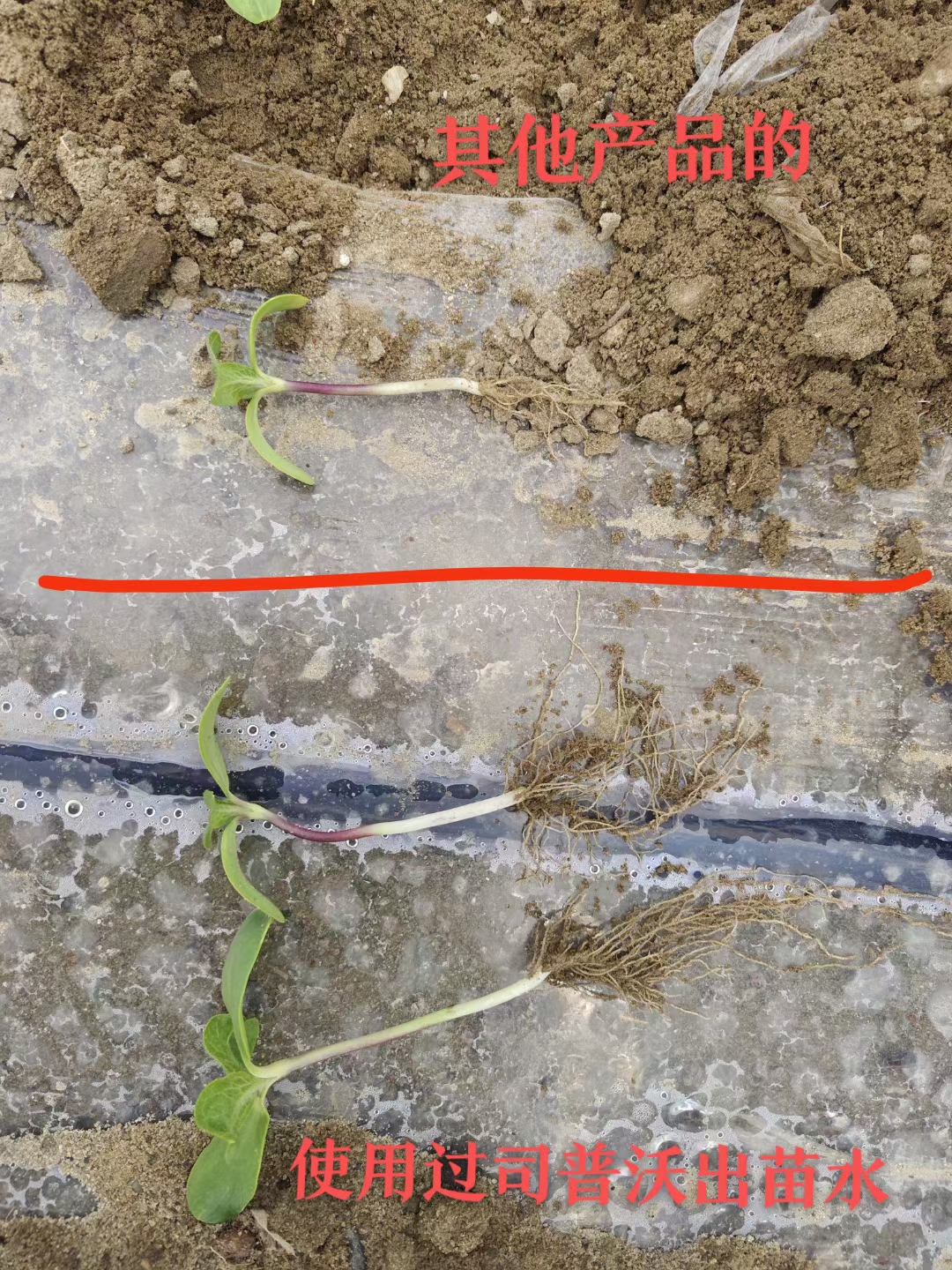 種地也有“秘密武器”？司普沃三活三抗套餐來揭秘！