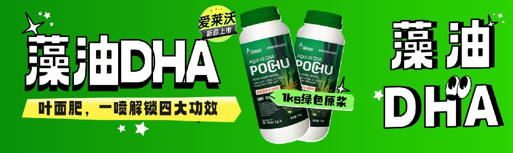 愛萊沃藻油DHA葉面肥**上市：1kg綠色原漿，一噴解鎖四大功效